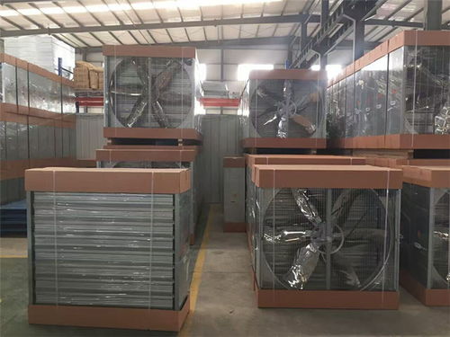 畜牧風機水簾降溫設備 為雞西養殖場打造高效降溫解決方案——蒙威風工業設備助力養殖業健康發展